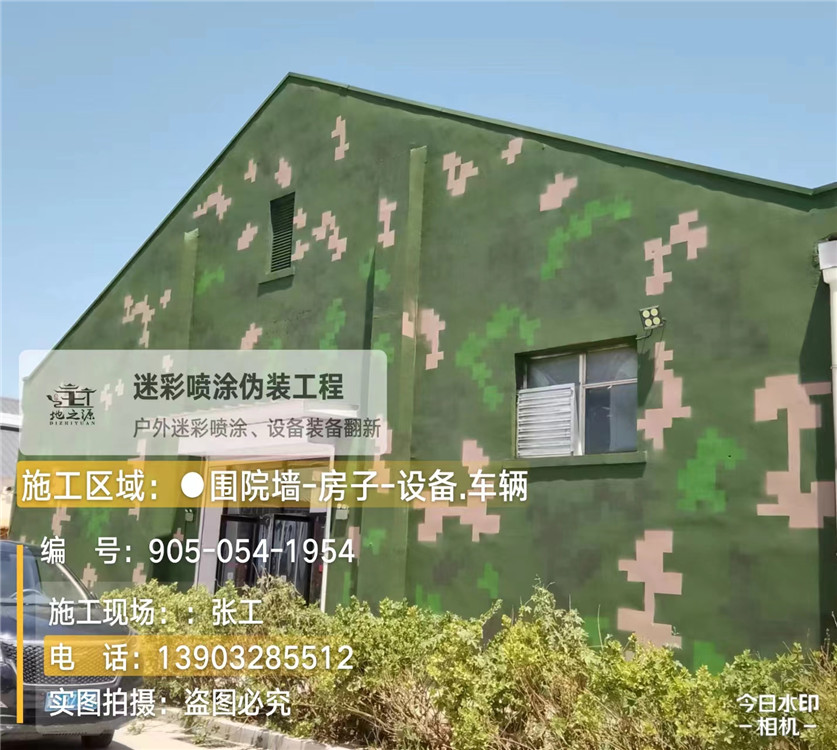 贵州外墙数码迷彩漆施工报价清单（100㎡标准墙面测算）